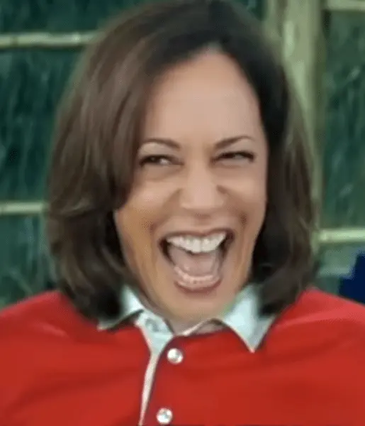 Screen Shot 2024-09-12 at 4.25.16 PM.webp