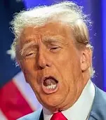 Screen Shot 2024-11-19 at 3.58.15 PM.webp