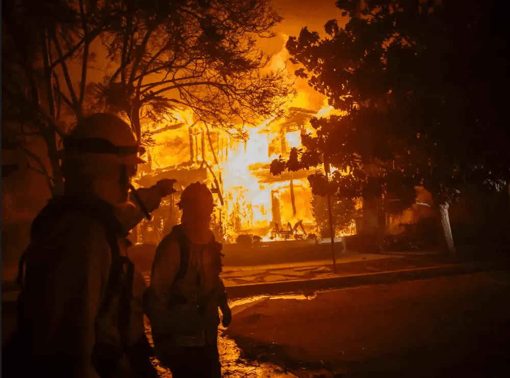 Screen Shot 2025-01-11 at 11.23.15 AM.png