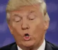 Screen Shot 2025-06-11 at 1.05.09 PM.webp