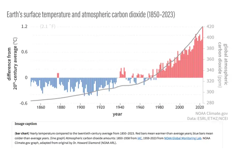 Screen Shot 2025-07-08 at 7.17.27 AM.webp