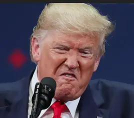 Screen Shot 2025-08-05 at 8.05.08 AM.webp