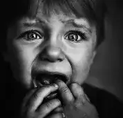 Screen Shot 2025-08-11 at 8.39.43 PM.webp