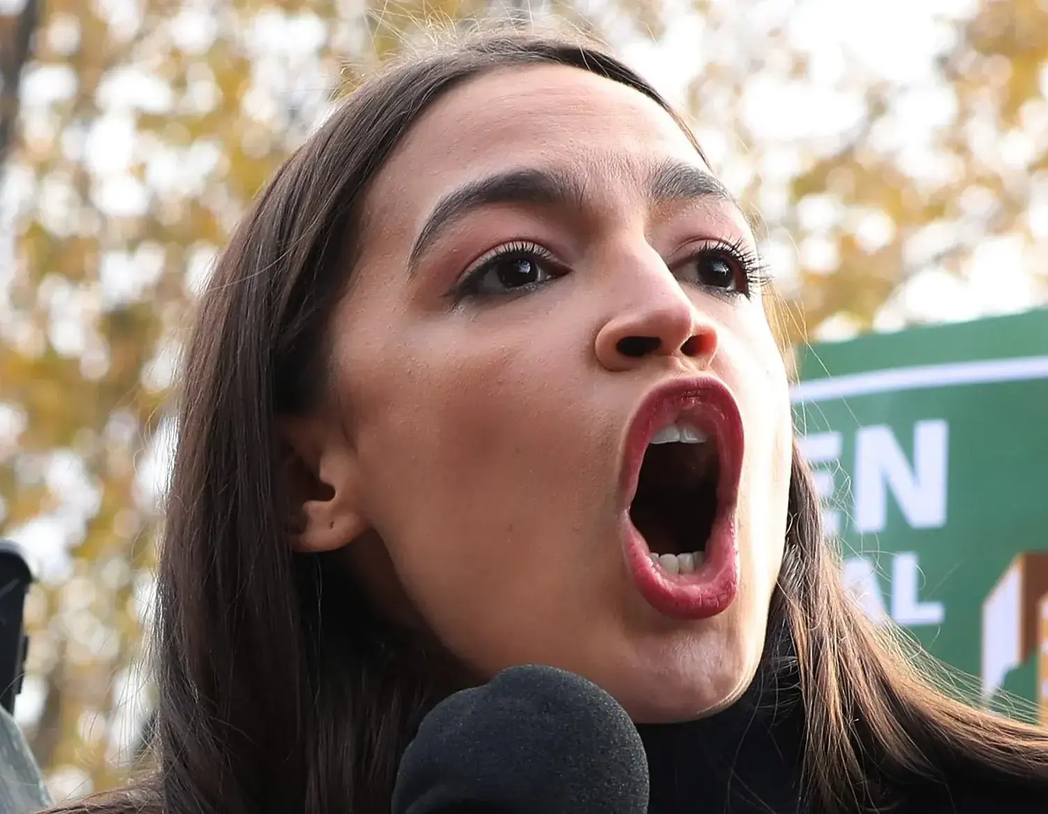 Screen Shot 2025-09-11 at 7.05.32 AM.webp