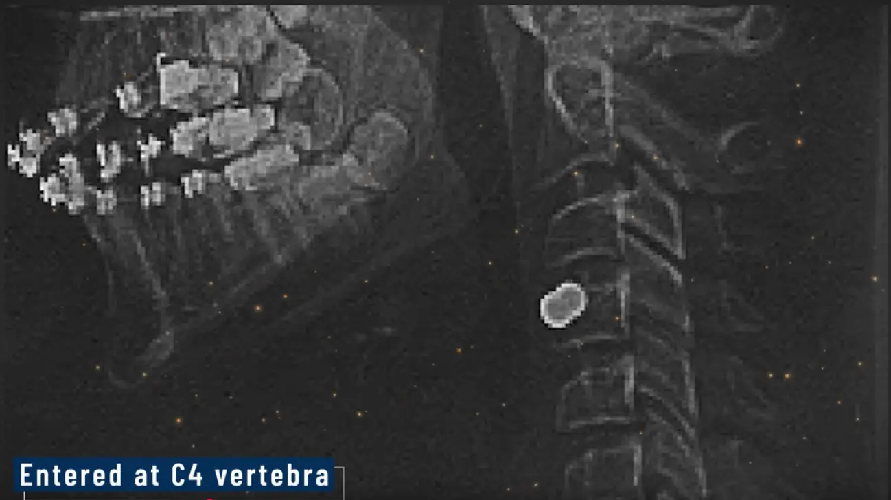 Screen Shot 2025-09-17 at 8.59.15 AM.webp