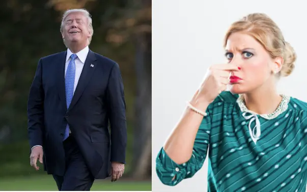 Screen Shot 2025-11-05 at 10.13.56 AM.webp