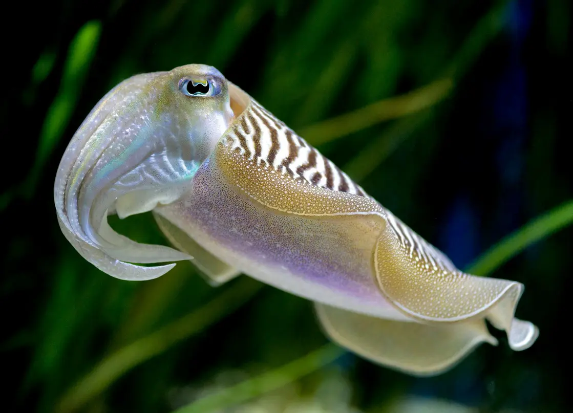 Screen Shot 2026-02-25 at 11.09.14 PM.webp