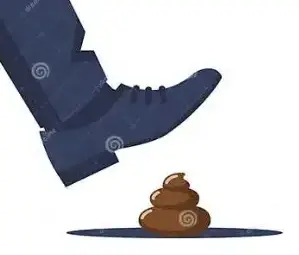 Screen Shot 2026-04-29 at 9.42.37 AM.webp