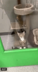 ScreenRecorderProject31.gif