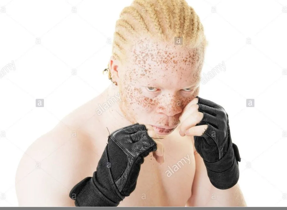 Screenshot 2021-09-21 134219.webp