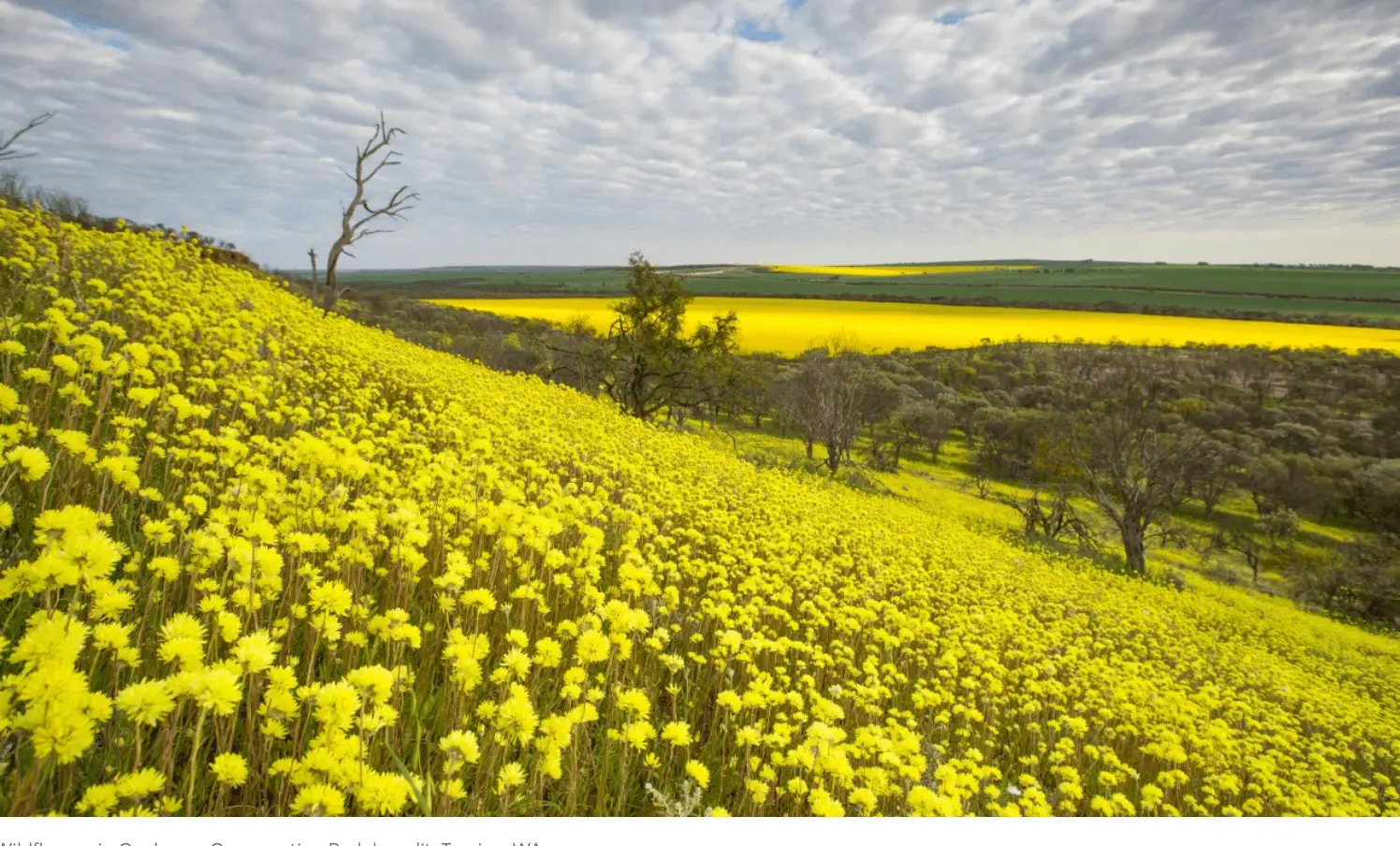 Screenshot 2022-03-15 01.17.22.webp