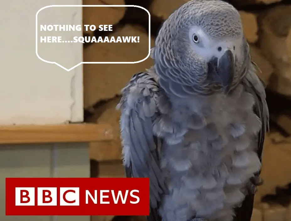 Screenshot 2022-04-11 112647.webp