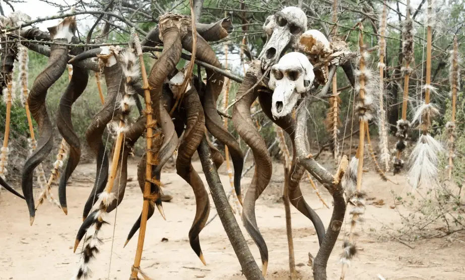 Screenshot 2022-07-10 104621.webp