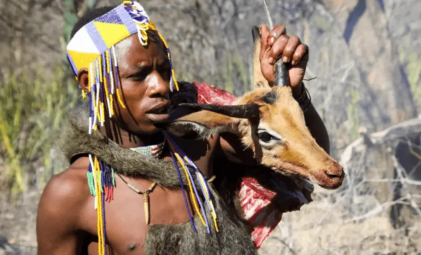 Screenshot 2022-07-10 104645.webp