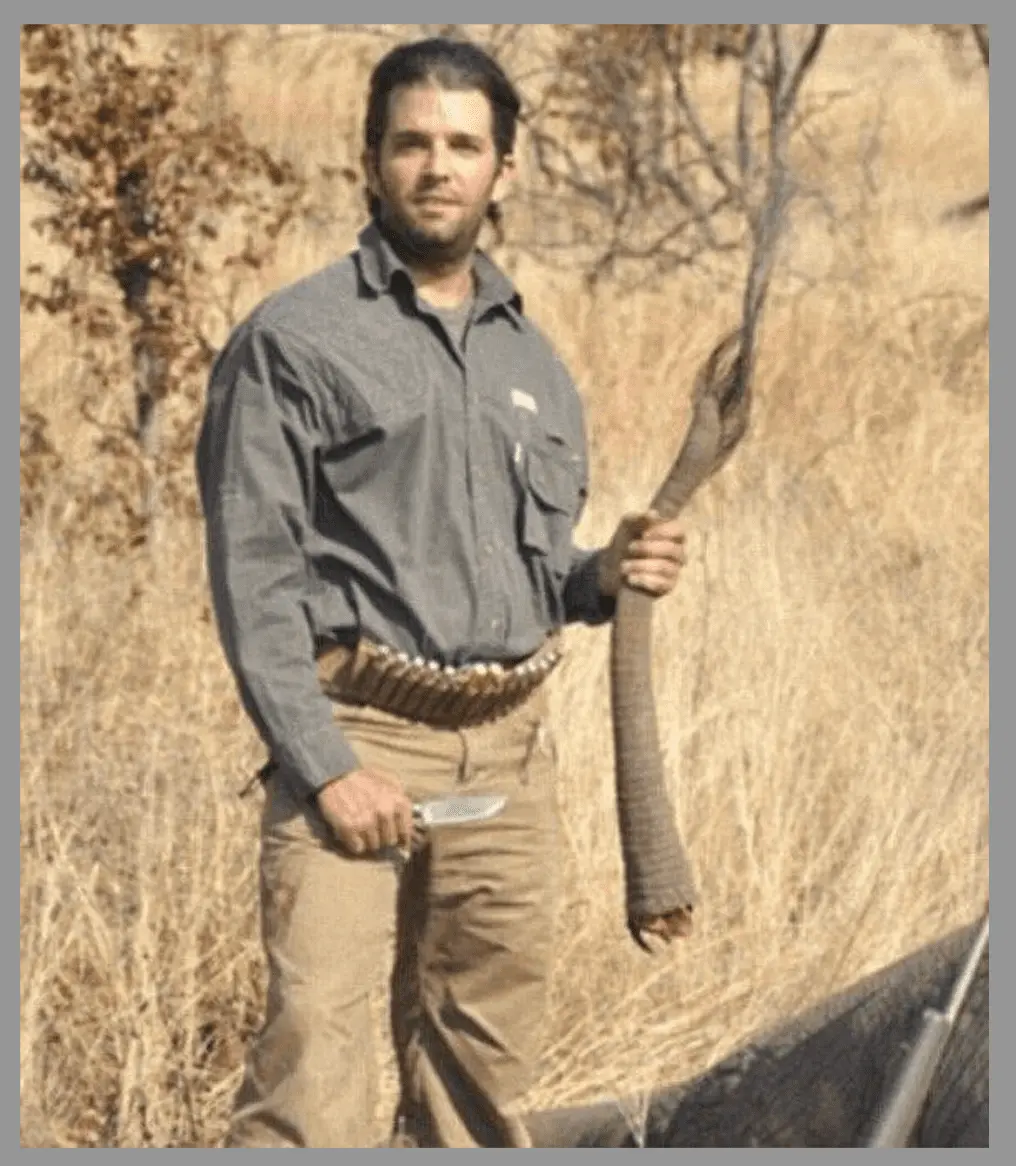 Screenshot 2023-03-04 at 11.32.31 AM.webp