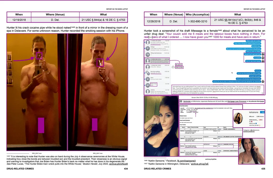 Screenshot 2023-06-20 at 16-35-56 Report on the Biden Laptop.webp