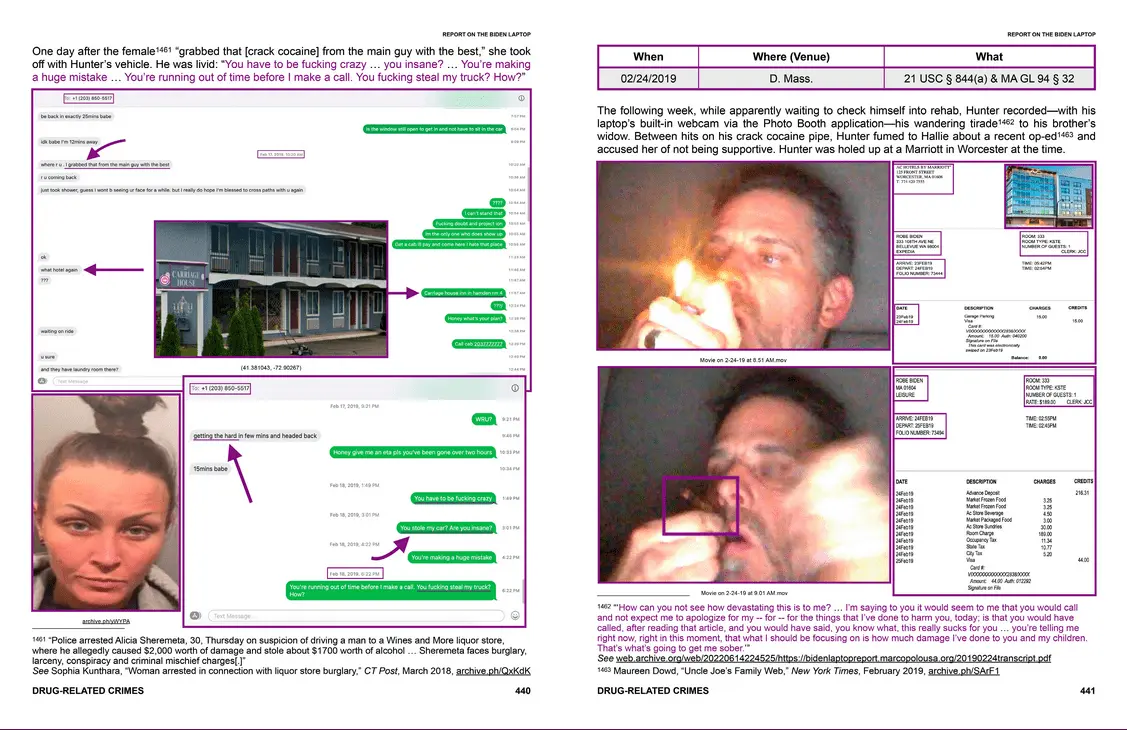 Screenshot 2023-06-20 at 16-37-36 Report on the Biden Laptop.webp
