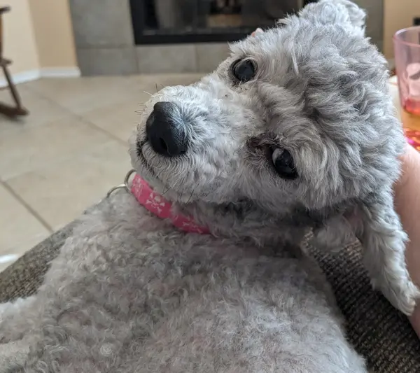 Screenshot 2023-08-04 074329.webp