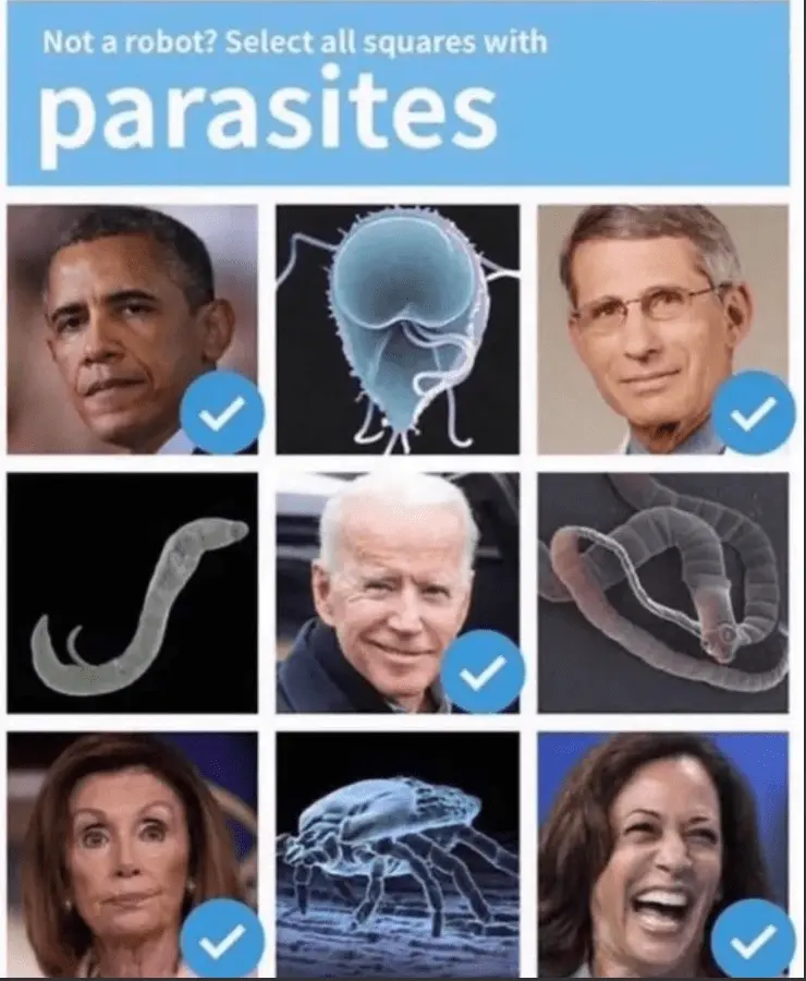 Screenshot 2023-08-12 133656.webp