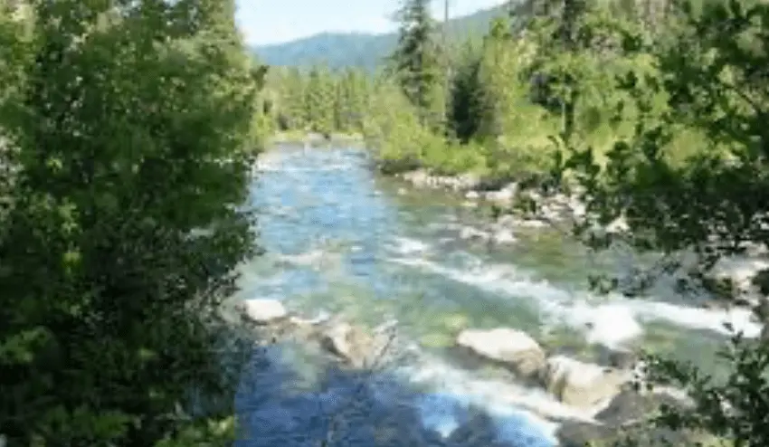 Screenshot 2024-08-04 at 10.20.55 AM.png