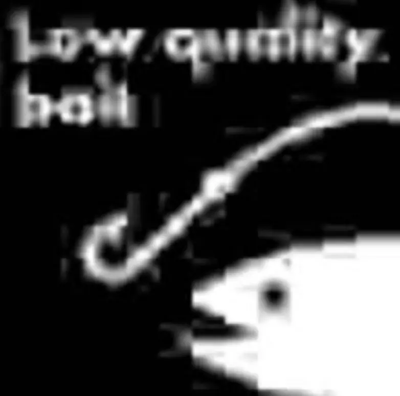 Screenshot 2025-02-26 at 10.52.46 AM.webp