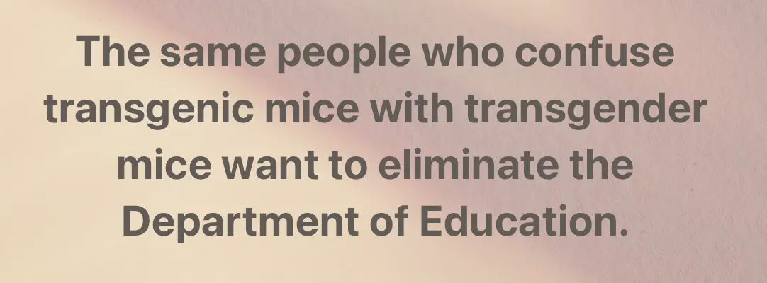 Screenshot 2025-03-09 at 9.18.11 AM.webp