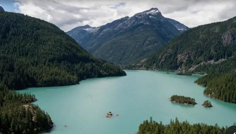 Screenshot 2026-02-20 at 6.48.08 PM.webp