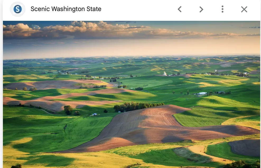 Screenshot 2026-02-20 at 6.54.40 PM.webp