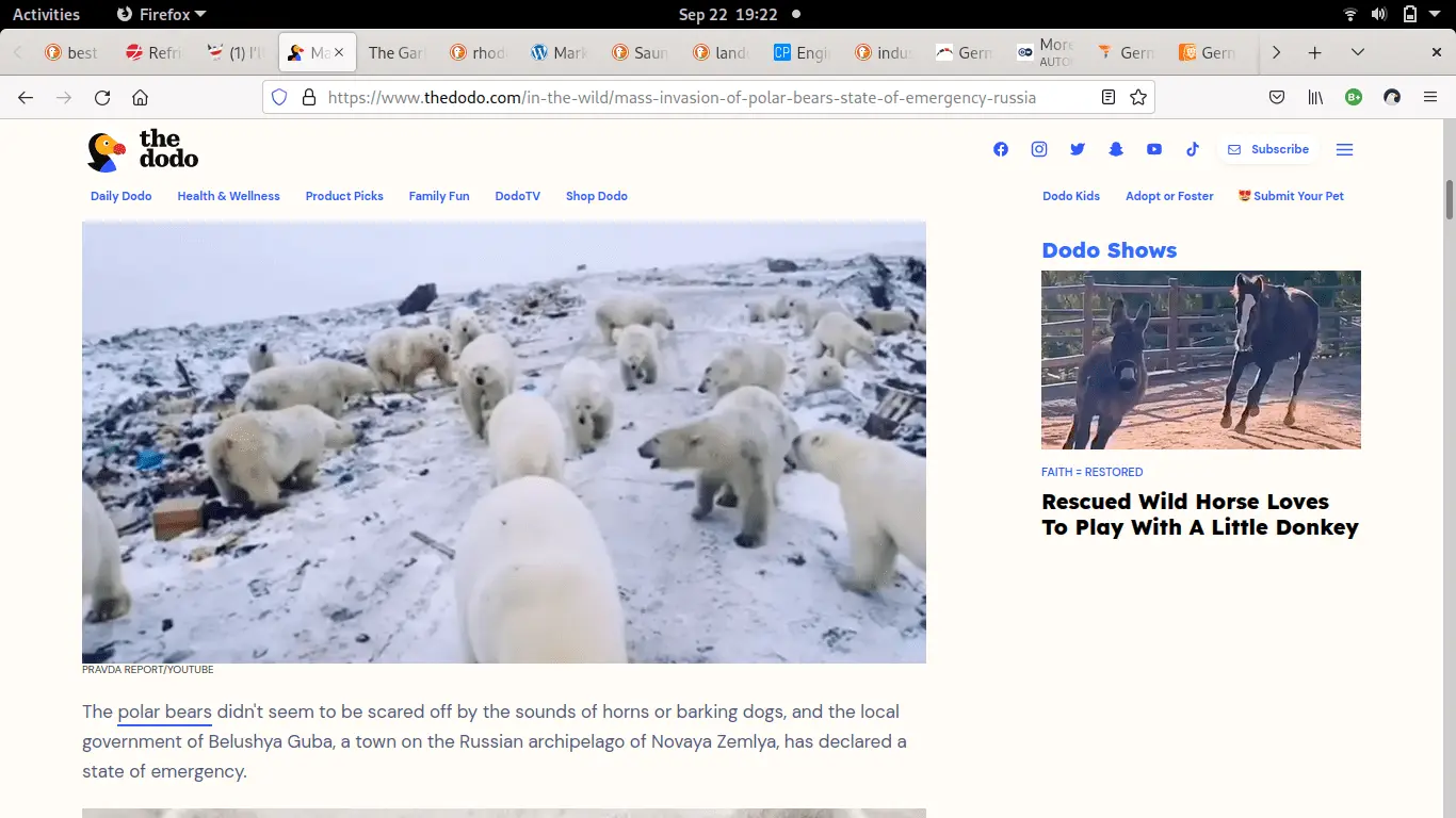 Screenshot from 2022-09-22 19-22-49.png