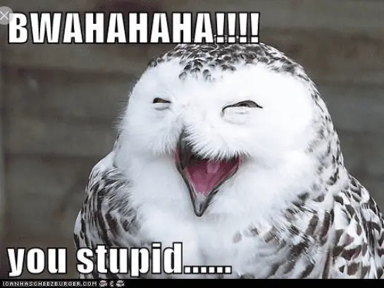 Screenshot_2020-11-02 BWAHAHAHA - Google Search.webp