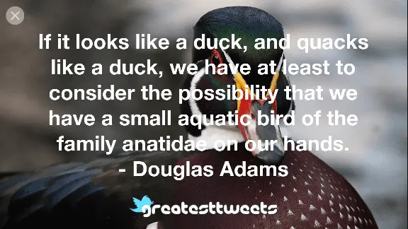 Screenshot_2020-11-02 looks like a duck - Google Search.webp