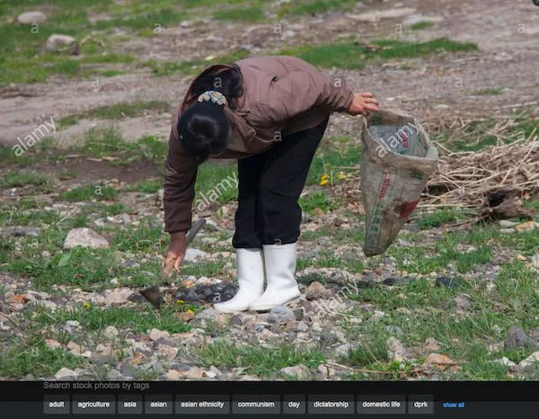 Screenshot_2020-11-26 Stock Photo - North Korean woman collecting grass to eat in a field, Nor...jpg