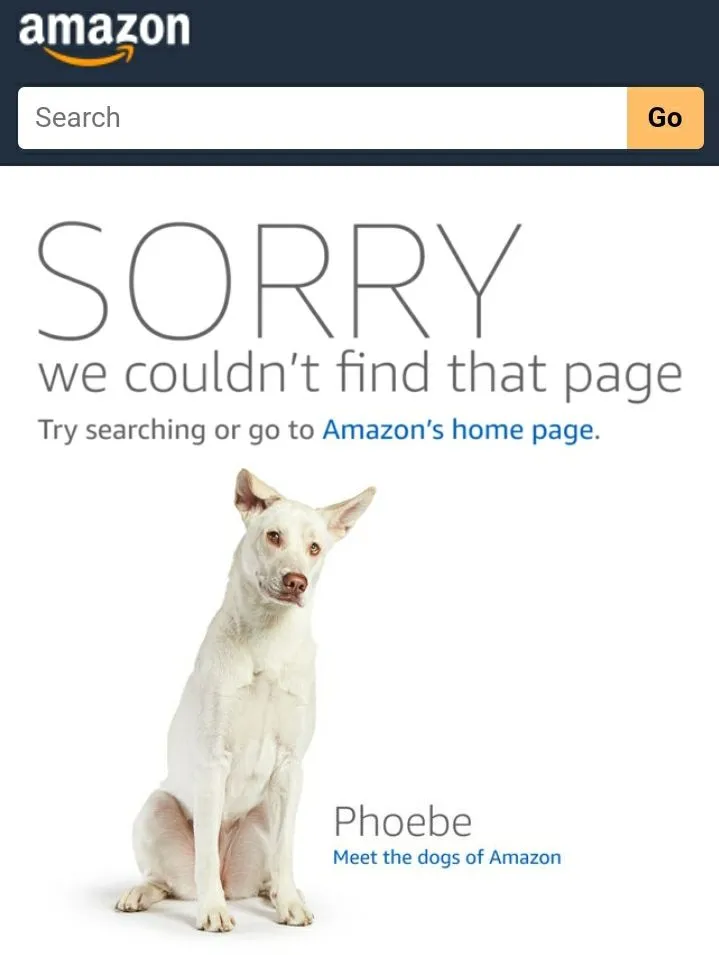 Screenshot_20200701-104107_Samsung Internet.jpg