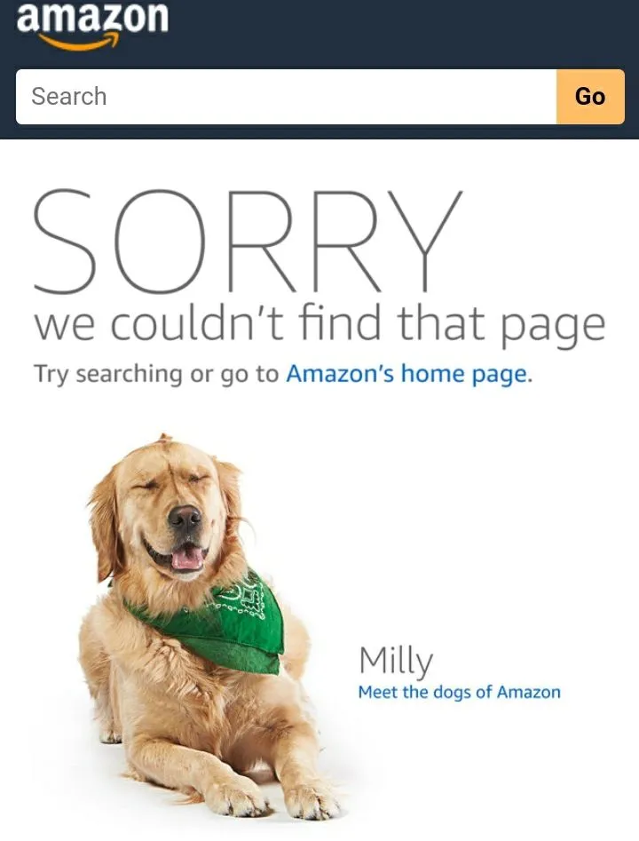 Screenshot_20200923-100944_Samsung Internet.webp