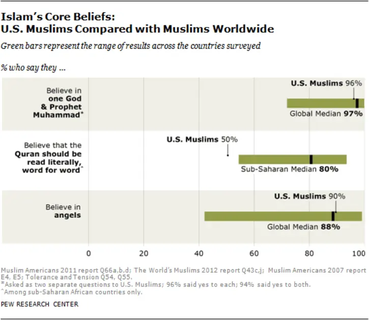 Screenshot_2021-01-18 Appendix A U S Muslims Beliefs and Practices in a Global Context(1).webp