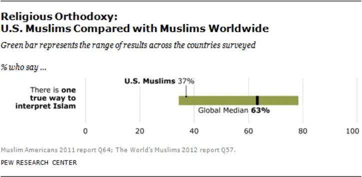 Screenshot_2021-01-18 Appendix A U S Muslims Beliefs and Practices in a Global Context.webp