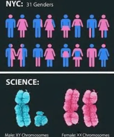 Screenshot_2021-01-30 gender science meme - Google Search.webp