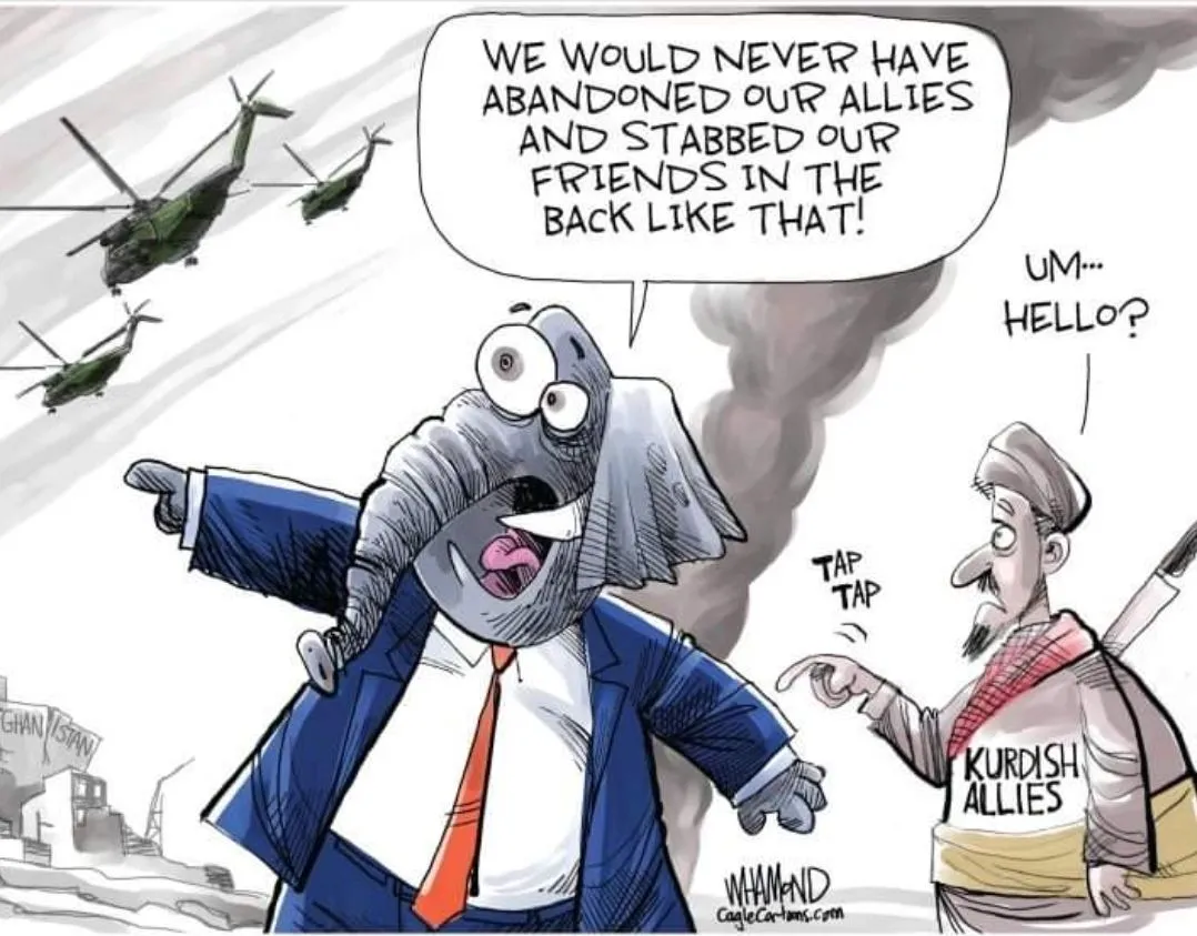 Screenshot_20210902-064424_Samsung Internet.webp