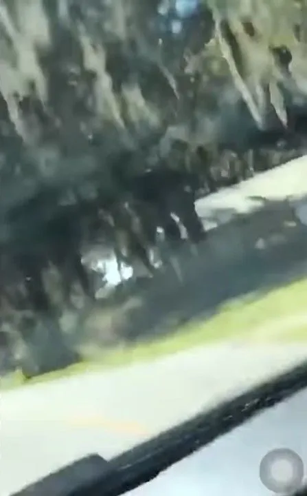 Screenshot_20211125-125918_Samsung Internet~2.webp