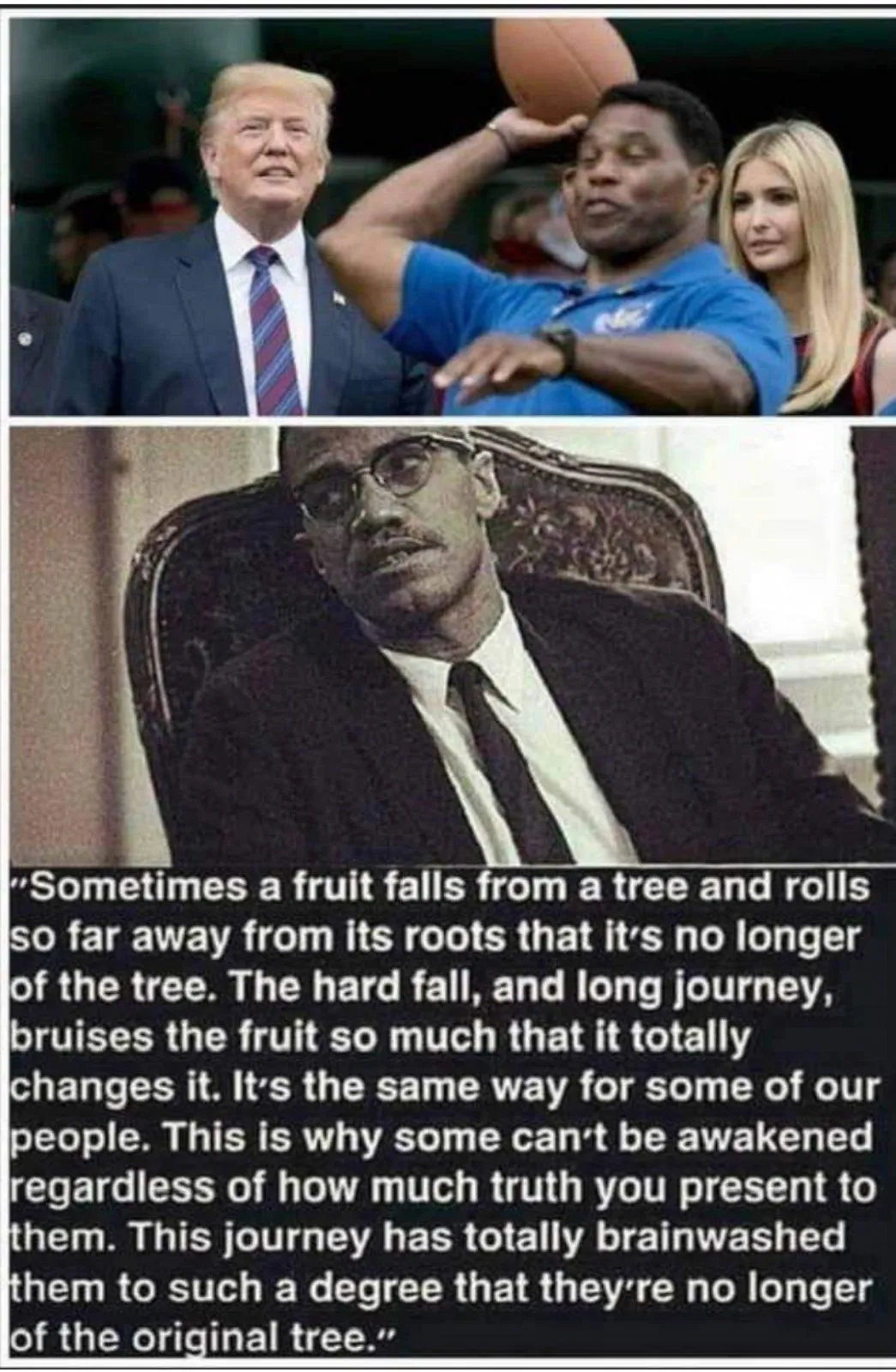 Screenshot_20220603-095701_Samsung Internet.webp