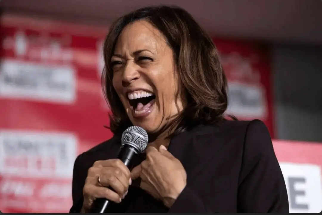 Screenshot_20240926-185635_Samsung Internet.webp