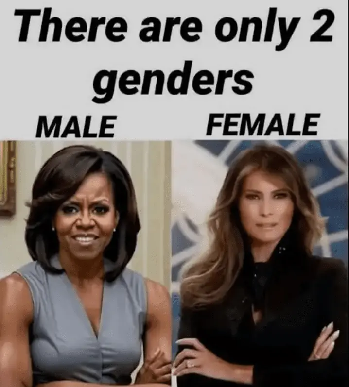 Screenshot_20250122-211805 (1).webp