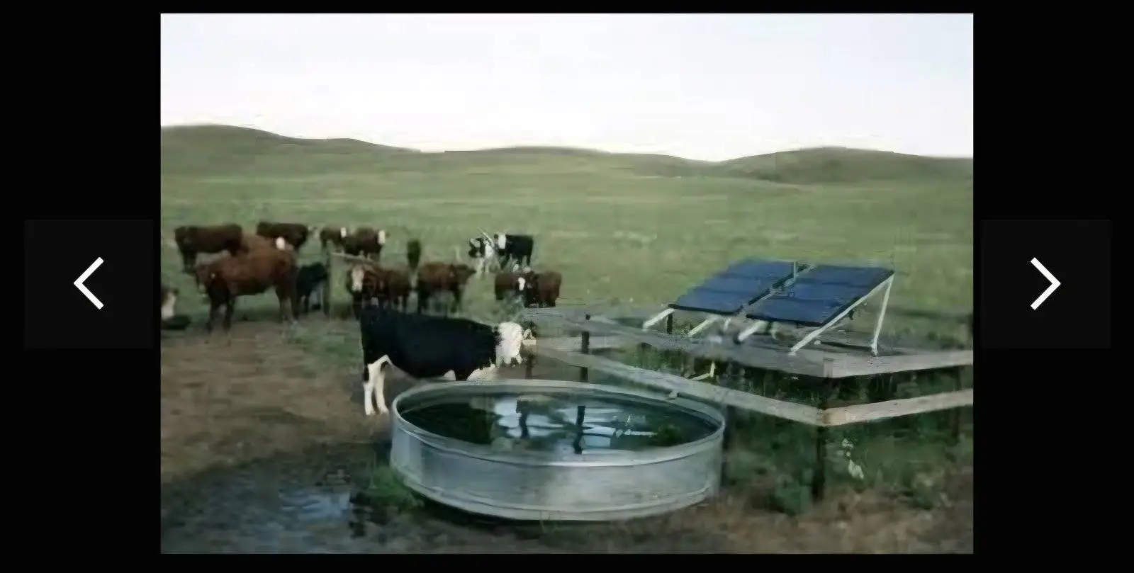 Screenshot_20250210_232047_Samsung Internet.webp