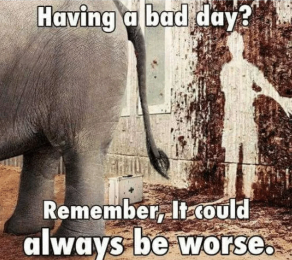 screenshot_20250906_102137_chrome-webp.1158928