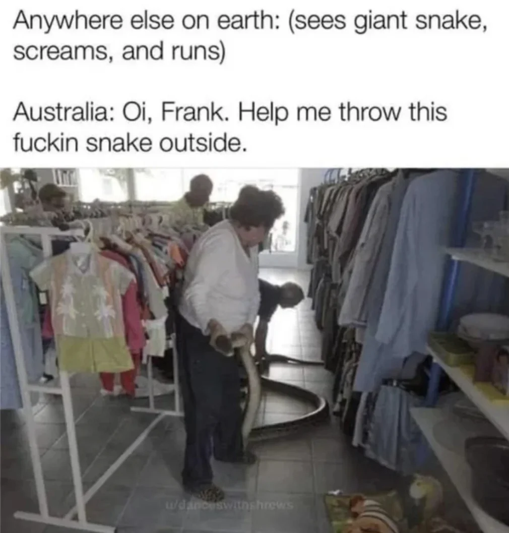 Screenshot_20260513_054456_Chrome.webp