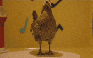 sealybobo is a chicken.gif