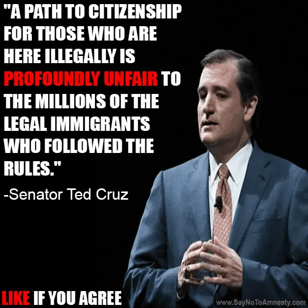 senator-ted-cruz-stop-amnesty.webp