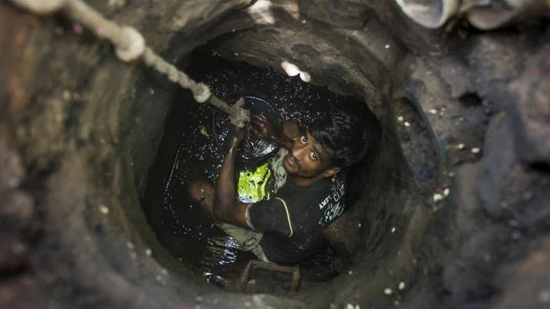 sewer-scavengers.webp