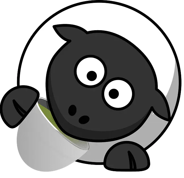 Sheep drinking Cappuccino.webp