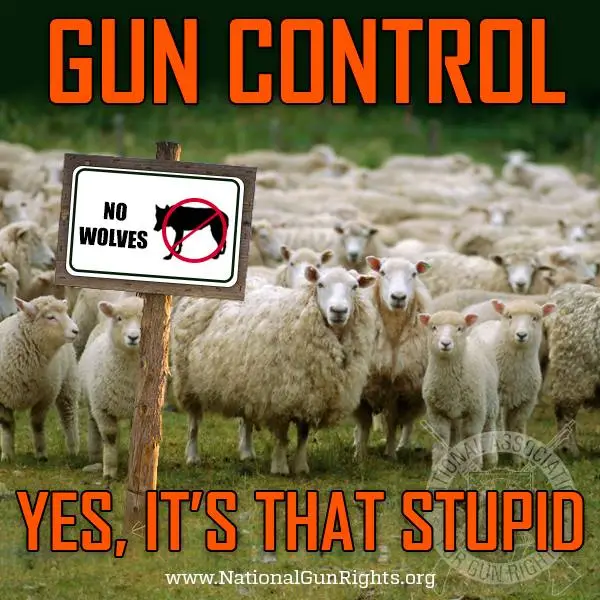 sheep gun.webp